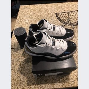 Jordan concord 11 low